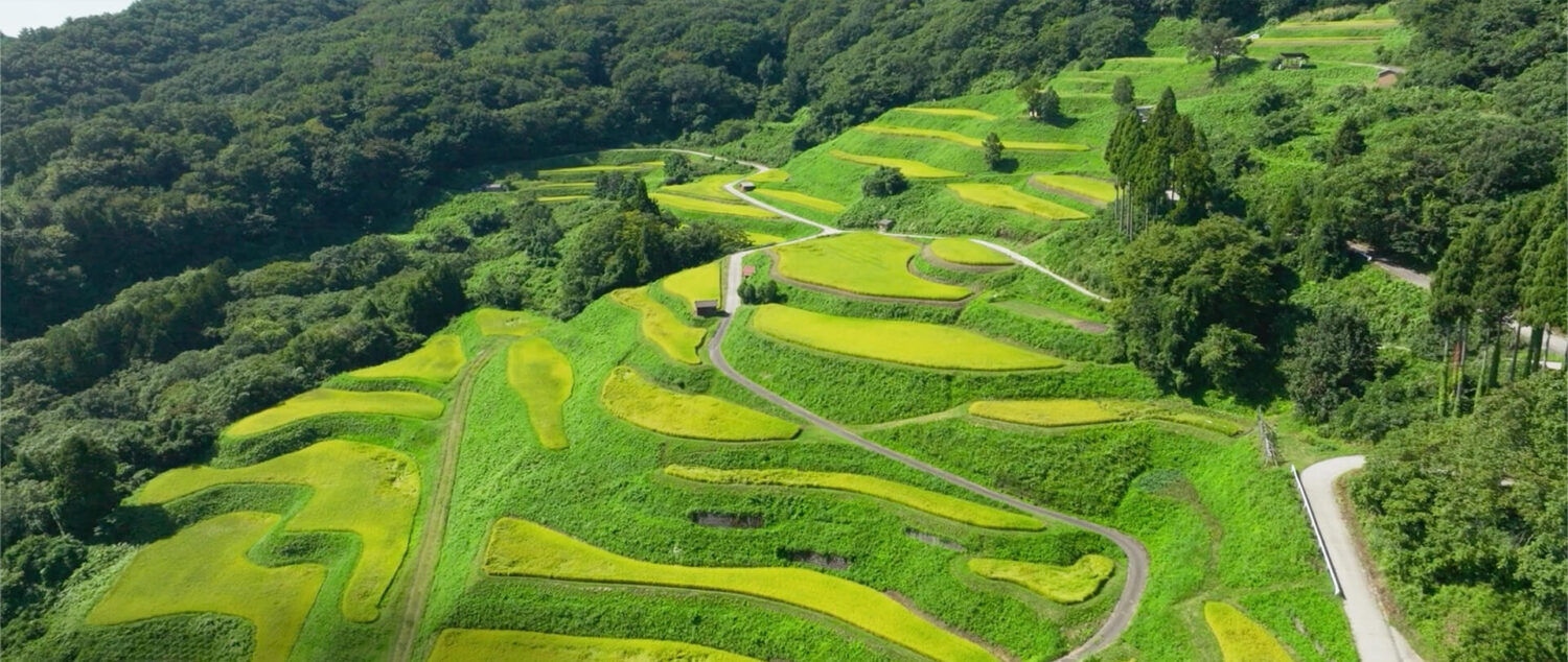 さどタイムス|佐渡の観光と旅行のガイドブック - さどタイムスは佐渡の観光と旅行のガイドブックです