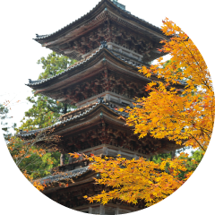 佐渡の秋