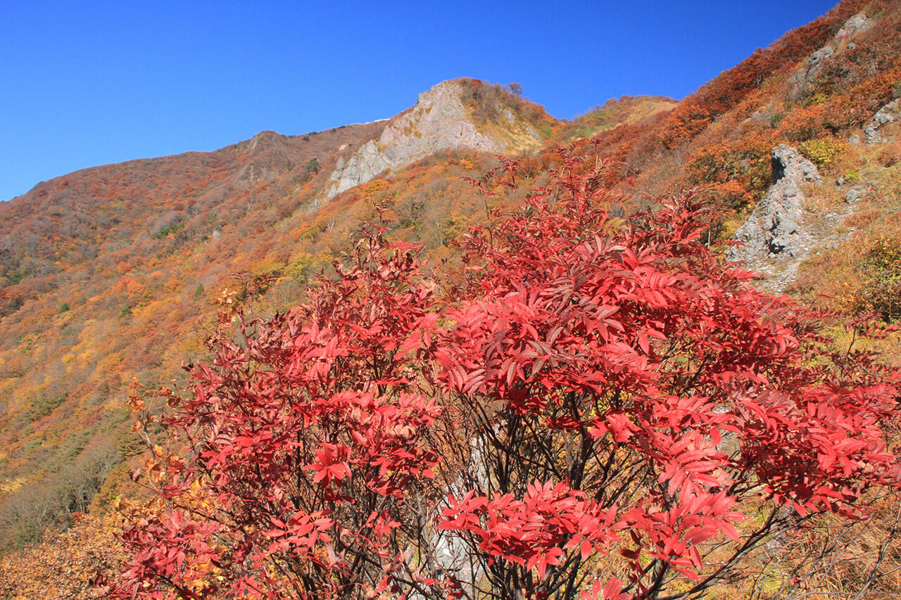 佐渡の紅葉